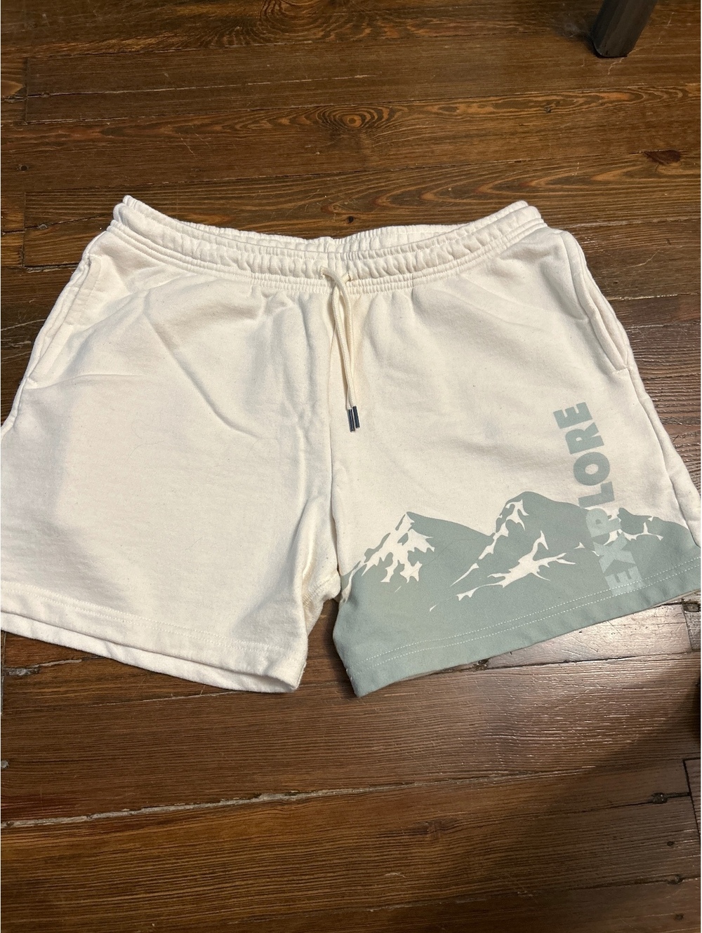 Hanes Explorer Men's Casual Cotton Blend Shorts Size L
